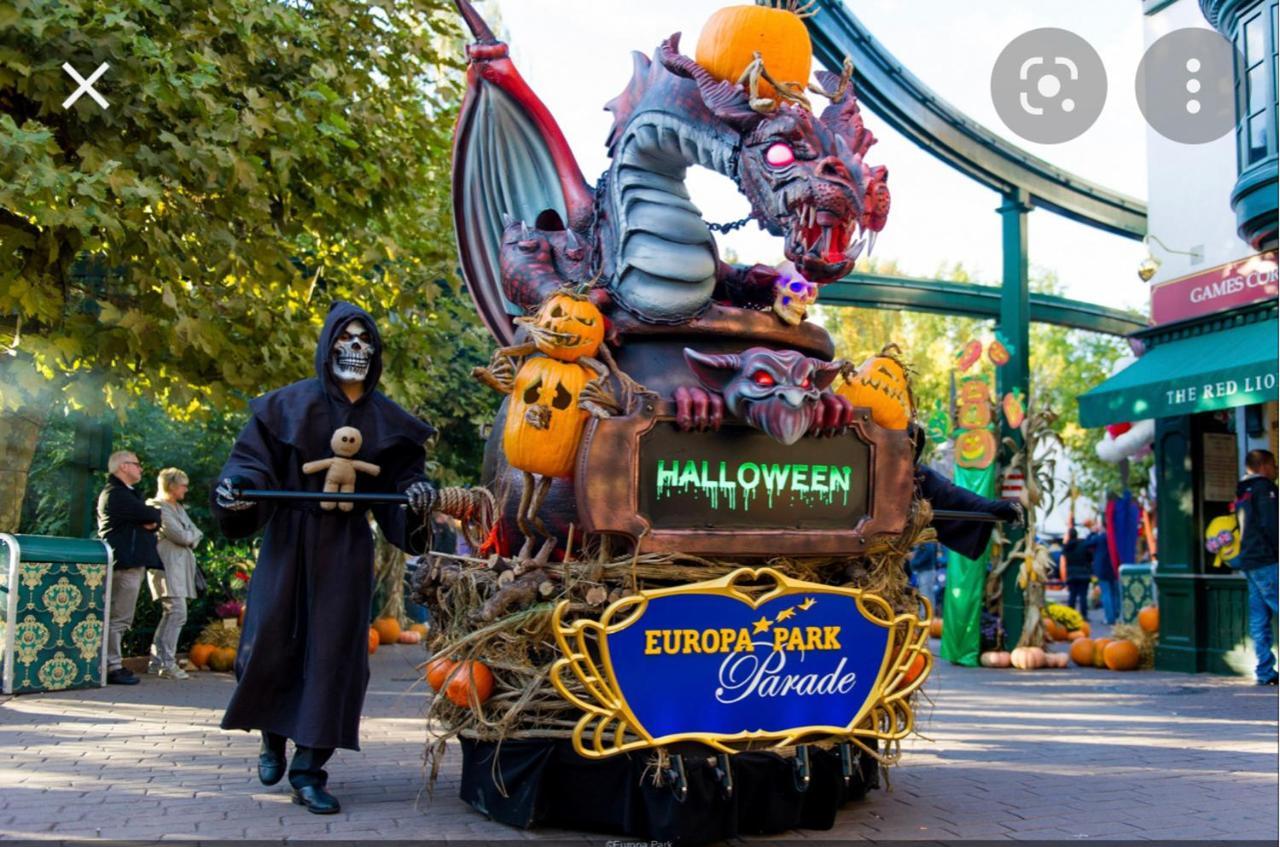 شقة Location Mh Situee A 15 Mn D Europa Park Et Rulantika Boofzheim المظهر الخارجي الصورة