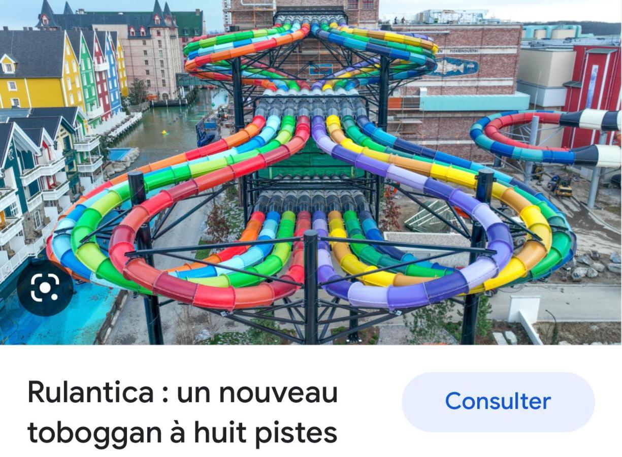 شقة Location Mh Situee A 15 Mn D Europa Park Et Rulantika Boofzheim المظهر الخارجي الصورة